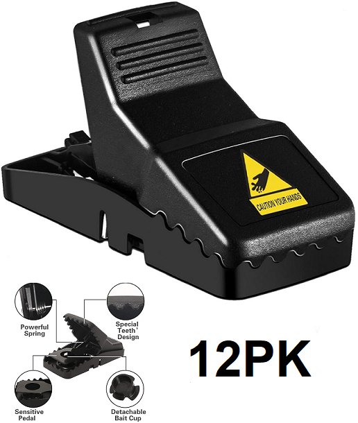 King of the north auction