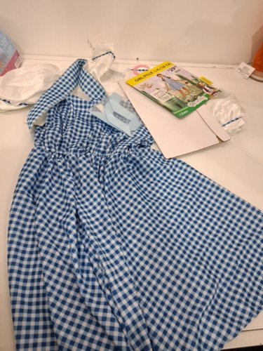 3PC RUBIES WIZARD OF OZ DOROTHY COSTUME - LARGE (10-12) - BLUE AND WHITE image 2