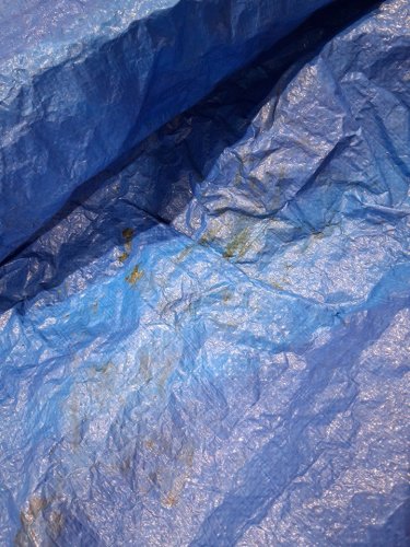Lightweight Economy Polyethylene Tarp with grommets - 11FT x 8FT - blue image 3