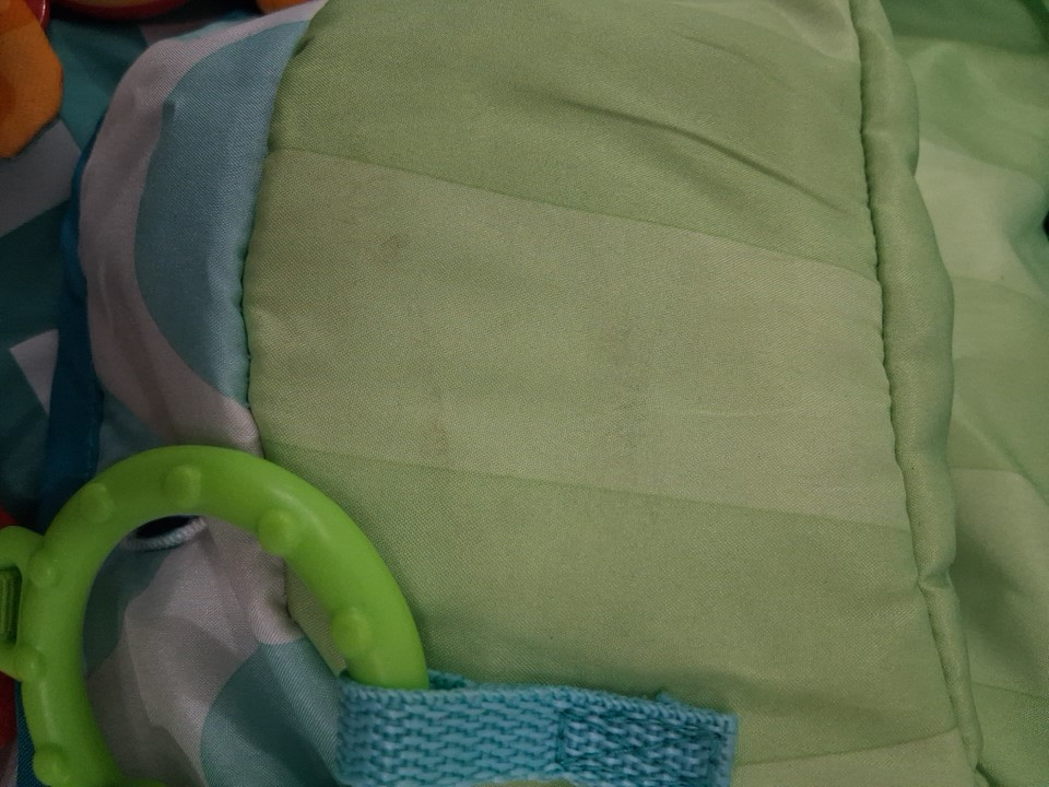 Fisher-Price Sit-Me-Up Floor Seat - frog - (model:FWY43) image 7