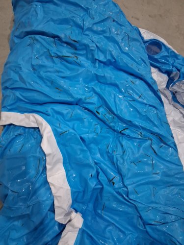 INTEX SPLASH AND CHILL ISLAND - 7 - PERSON - WHITE/BLUE (MODEL: ‎56299EP) image 5