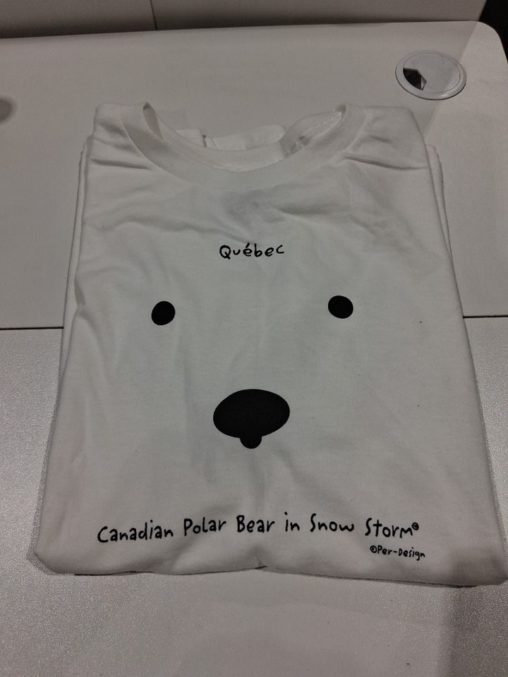 YOUTH QUEBEC POLAR BEAR "CANADIAN POLAR BEAR IN SNOW STORM" PER-DESIGN HEAVY COTTON T-SHIRT - MEDIUM - WHITE/BLACK PRINT image 2