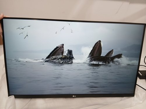 LG Ultrafine Ergo 4K UHD Monitor with IPS Display /HDR 10 / DCI-P3 95% Color / USB-C & Adjustable Ergonomic Stand - 32" - black (model: 32UN880K) image 5