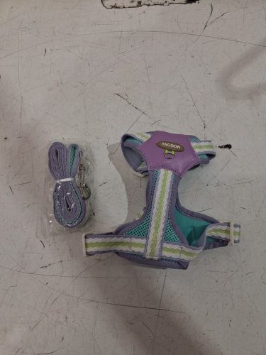 TAGOON SMALL DOG & PUPPY LEASH AND HARNESS SET - small -green/purple image 3