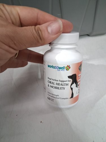 WorksSoWell 1TDc Dual Action Natural Support Hip Joint Health Muscle Stamina Recovery Skin coat Health - 60 soft gel caps image 2