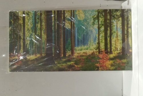 CANVAS wall art - 23.5" x 47" - sunny fall forest image 2
