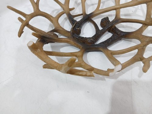 Bass Pro Shops Antler Bowl - 13" x 13" x 4" - Antler Bowl image 4