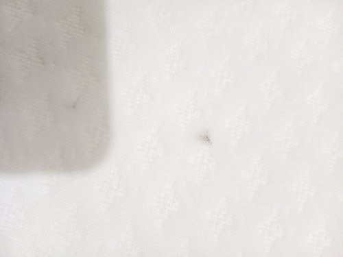 Tri-fold Foam Folding Mattress Topper - Full - 52" x 73" x 4" - White/Blue image 7