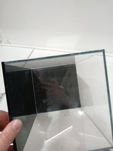 BETTA fish tank - 1.5gal image 5