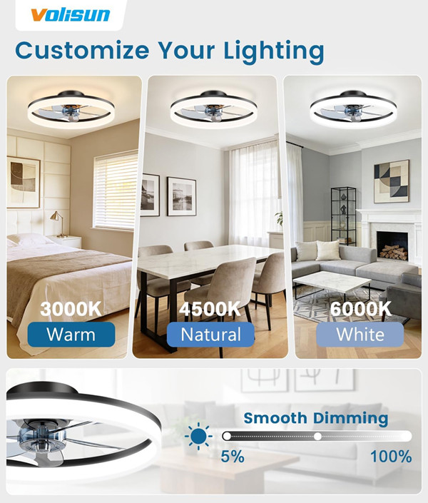 VOLISUN Low Profile Ceiling Fan with Lights and Remote - 20" - gold (model: 21260ZM) image 2