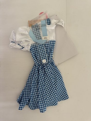3PC TODDLER RUBIES WIDARD OF OZ DOROTHY COSTUME - 3-4T - BLUE AND WHITE image 2