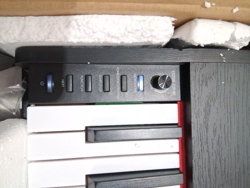 Eastar Full-Size Electric Digital Piano 88 Key Velocity-Sensitive Keyboard for Beginner with stand and pedal (model: EUP-80) image 9