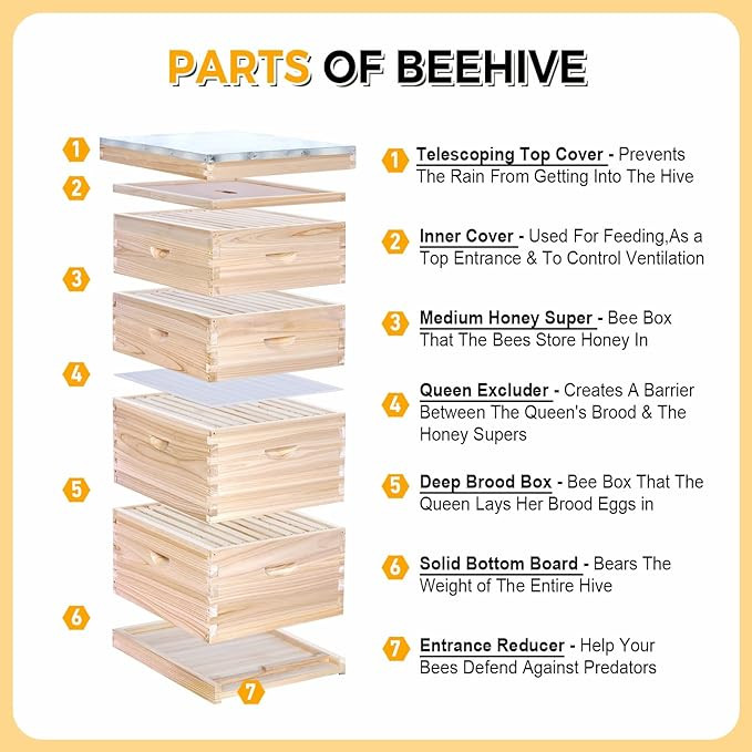 BeeCastle Hives Natural Hive 8/10 Frame 3 Layer starter kit beehive - unwaxed image 3