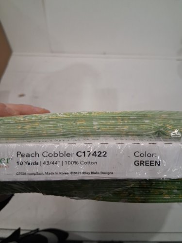 RILEY BLAKE DESIGNS PEACH COBBLER BY LILY ASHBURY 100% COTTON QUILT FABRIC - 44" X 10YRD - GREEN (MODEL: C17422) image 3
