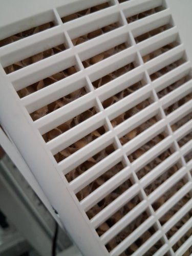 3-IN-1 EVAPORATIVE AIR COOLER WITH 4 MODES AND 3 SPEEDS - 8L - WHITE (MODEL: BW-108Y) image 5