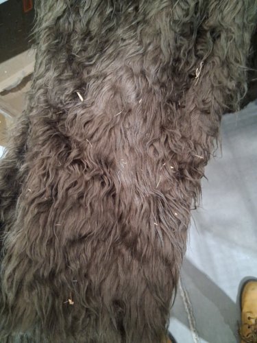 ADULT CALIFORNIA COSTUMES BIGFOOT SUIT - osfm - brown image 4