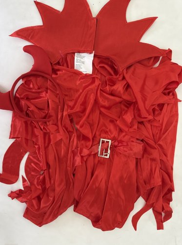 2PC GIRLS PARTYHOLIC FIERY DEMONESS COSTUME - MEDIUM 8-10  - RED (STYLE: 70196) image 2