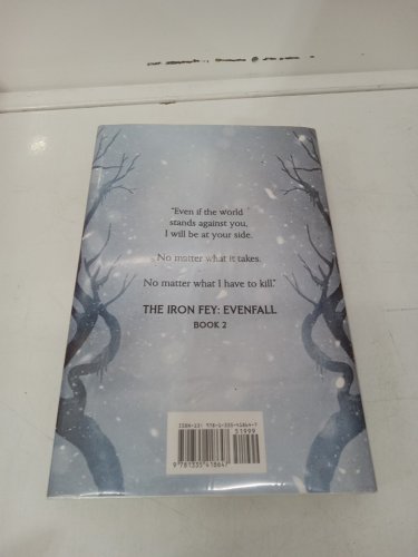 (Hardcover) The Iron Sword: Evenfall Book #2 by Julie Kagawa image 3