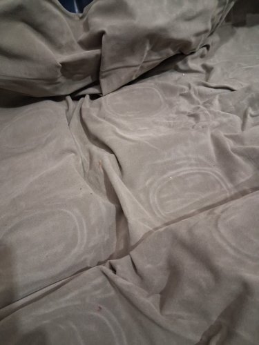 CHERIMOR Air Mattress with Built in Pump - QUEEN - (model: jh-628) image 4