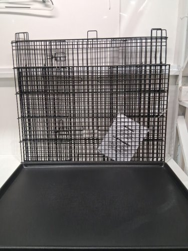 Midwest Homes for Pets Puppy Playpen with 1" Mesh Floor Grid - 24" x 35" x 30" - black - (model: 224-10) image 3