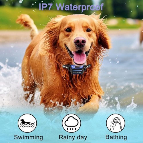 E-FENCE GPS Rechargeable Wireless Dog Fence Shock Trainer with Health Tracking - Purple/Black (Model: e06) image 3
