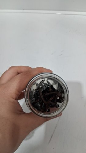 20PK Kirkland Signature Organic Madagascar Vanilla Beans (model: 1835596) image 3