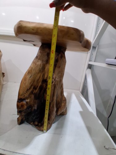 WELLAND Tree Stump Side Table Natural Edge Wood-19" (MODEL:WFC950-500A) image 5