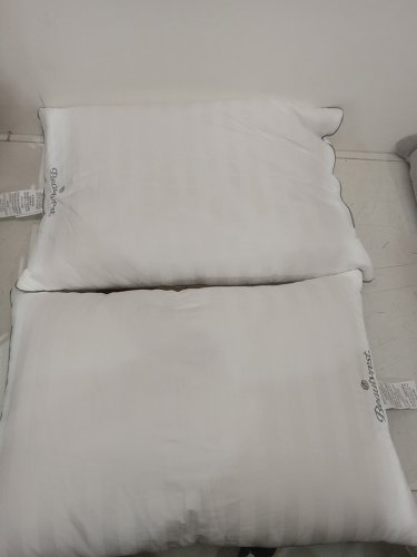 2PK Beautyrest Platinum Feather and Down Pillow-queen/standard-white image 3