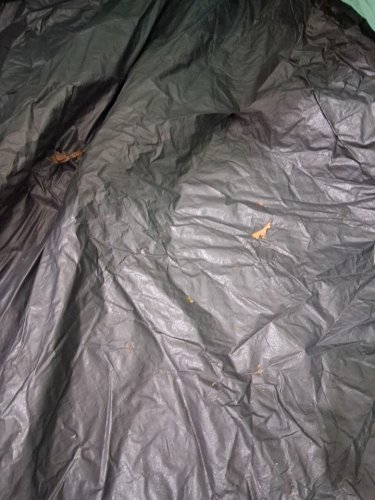 Amazon Basics Instant Camping Tent with Rainfly - 6 person - green/white (model : ‎AMZ-100968) image 5