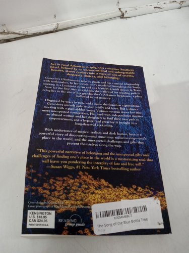 (Paperback) The Song of the Blue Bottle Tree: A Novel by India Hayford image 3