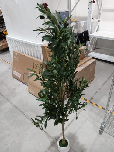 realead artificial potted olive tree - 6ft - green/white (model: ‎REJTGLSXP01-6FT) image 3