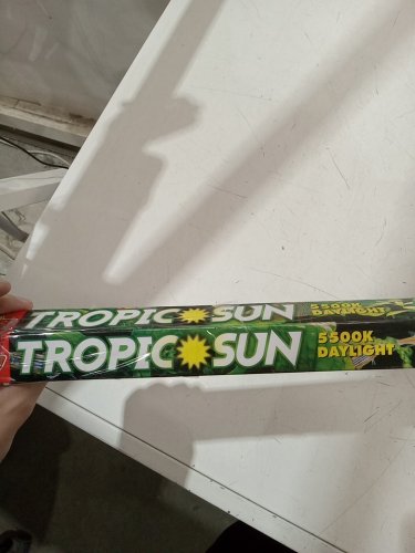 Zoo Med Tropic Sun 5500K Daylight Fluorescent Bulb for tanks T8 - 32W - 48" - white image 3