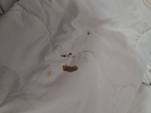 BERKSHIRE LIGHTWEIGHT COOLING BLANKET - QUEEN- WHITE/BEIGE FLORALS (MODEL: 1986201) image 3