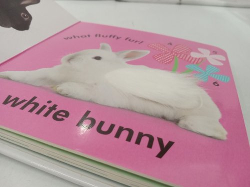 (Boardbook) Baby Touch and Feel: Bunny Interactive Spring Board Book by DK Publishing image 4