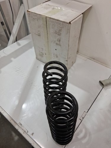 2pk  moog rear coil springs for nissan sentra - black (model:81623) image 2