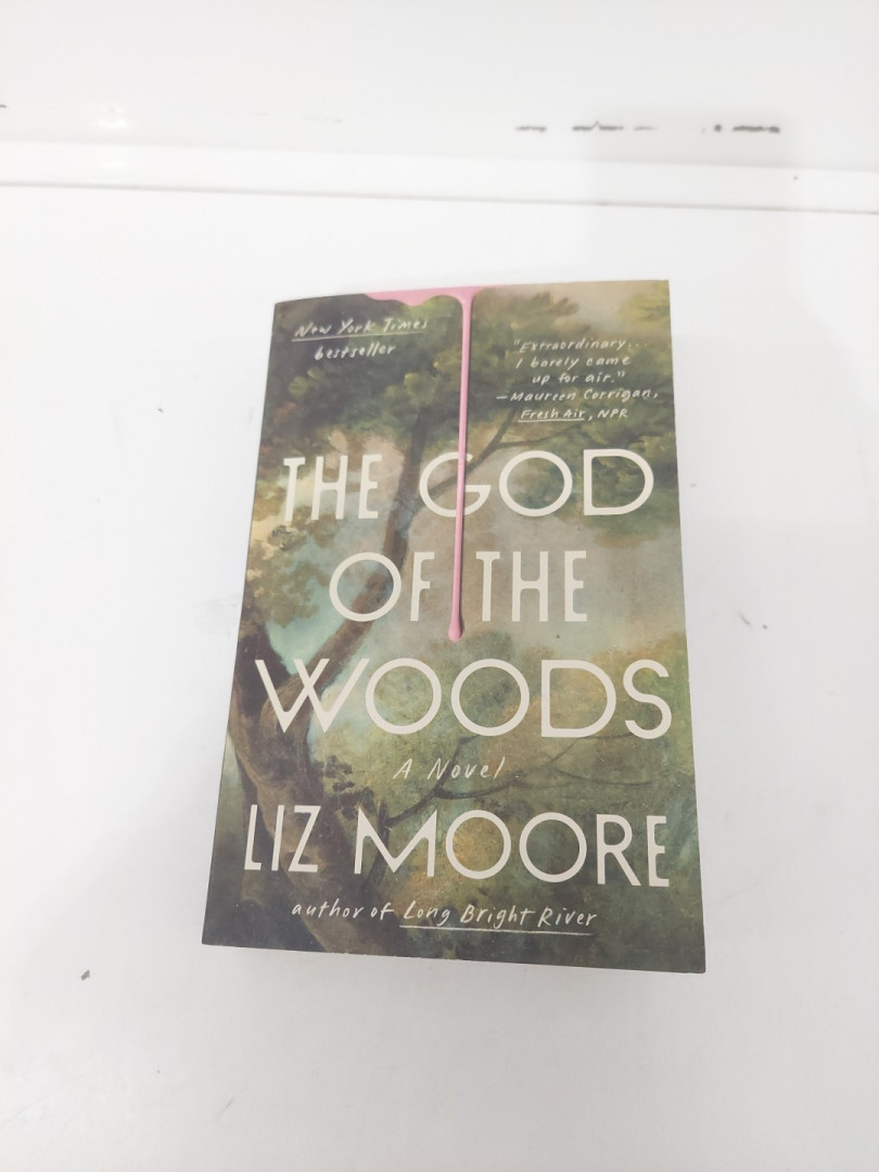 (Paperback) The God of the Woods: A Novel by Liz Moore image 2