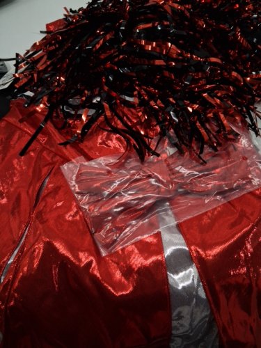 3PC GIRLS WAY TO CELEBRATE CHEERLEADER COSTUME - SMALL (4-6) - RED/WHITE (STYLE: WC3524B) image 2