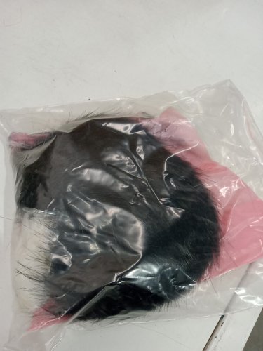 2pc Cat Ears and Small Butt Plug Tail - Black Ears / Black Tail image 3