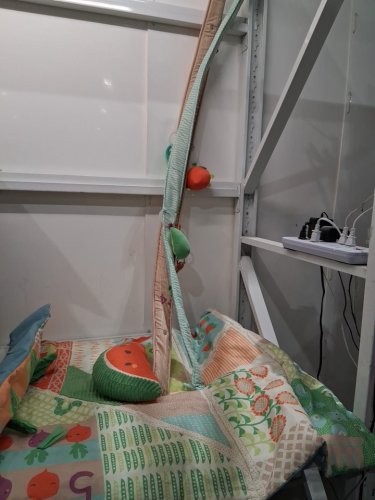 skip hop farmstand grow & play activity gym - multicolour (model: 307075) image 4