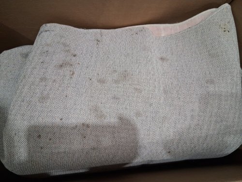 Garveehome washable scalloped edge low pile area rug - 8FT x 10FT - Beige image 4