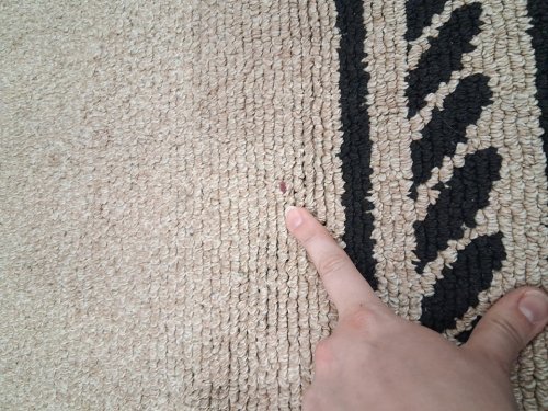 Nautica home rope border runner rug - 2ft x 6ft - Double Border (black)/Natural Twist(tan)  (Model: 1718190) image 6