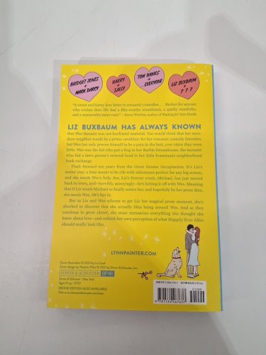 (paperback) better than the movies a novel lynn painter image 3