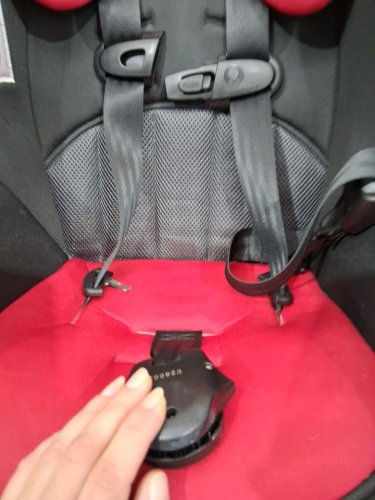 Evenflo Tribute Jupiter Convertible Kids Car Seat - Red/Black (Model: 38112278c) image 5
