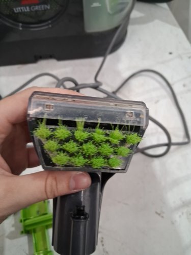 Little Green Portable Carpet/spot cleaner- green/black (model: 3369D) image 6