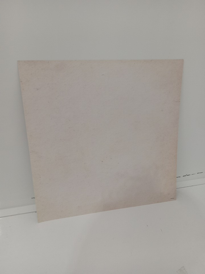 *signed* conan gray 'wishbone' cranberry red edition vinyl insert image 2