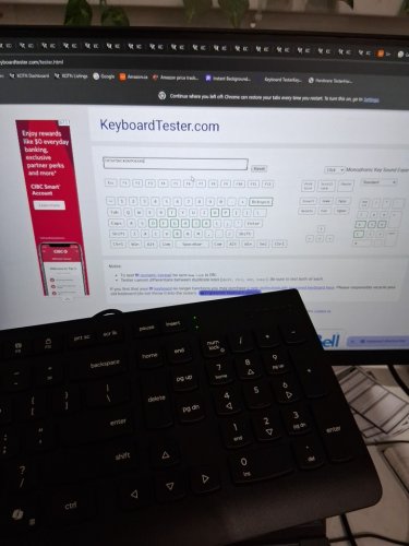 LENOVO 300 USB WIRED KEYBOARD - ADJUSTABLE TILT, ERGONOMIC DESIGN, WINDOWs 7/8/10/11, ENGLISH - BLACK (model: sk-8823) image 3