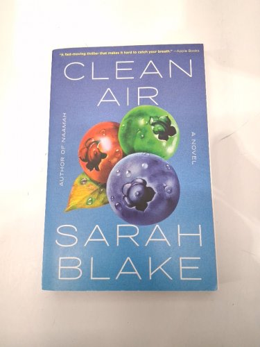 (Paperback) Clean Air: A Novel by Sarah Blak image 2
