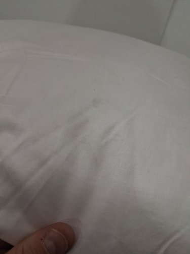 Roots Home HYPOALERGENIC Pillow - 300 thread count - QUEEN - WHITE (MODEL: 8007503) image 4