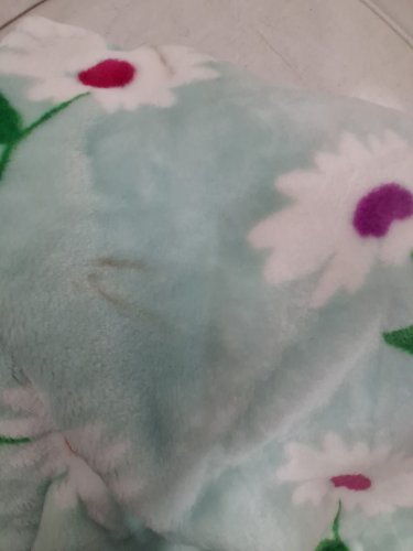 kate spade plush throw blanket - 60" x 70" - light blue/daisies (model:1859162) image 3
