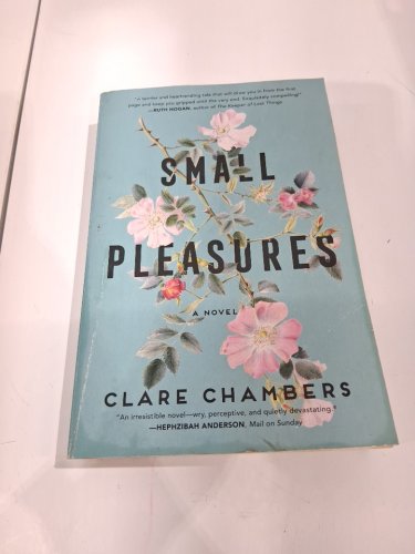 (paperback) small pleasures a novel by clare chambers image 2